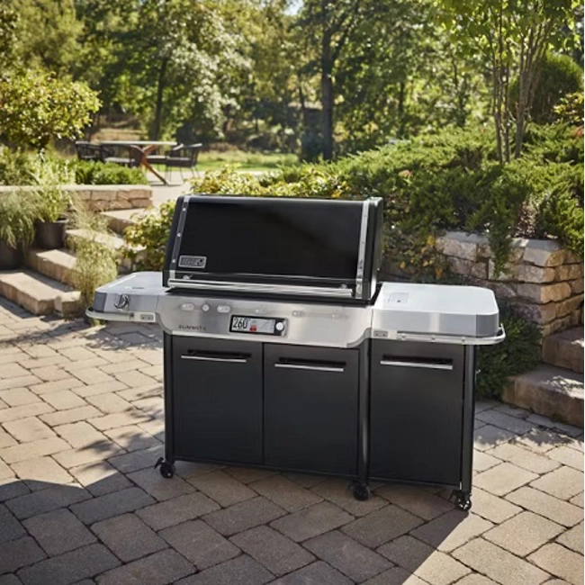 Vendita online Summit FS38X Barbecue a gas -Black